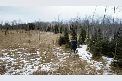 W4424 Birch Creek Road, Menominee, MI 49858 - Photo 12