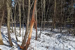 N5199 Marggi Ln, Saint Cloud, WI 53079 - Photo 18