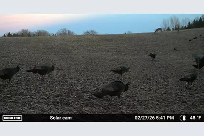 N5199 Marggi Lane, Saint Cloud, WI 53079 - Photo 90