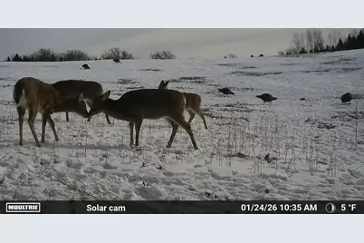 N5199 Marggi Lane, Saint Cloud, WI 53079 - Photo 84