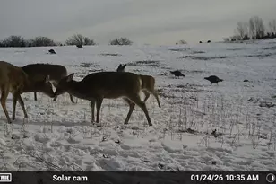 N5199 Marggi Ln, Saint Cloud, WI 53079 - Photo 84