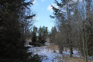 N5199 Marggi Ln, Saint Cloud, WI 53079 - Photo 28