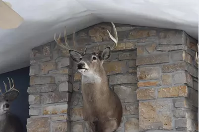 N5199 Marggi Lane, Saint Cloud, WI 53079 - Photo 46