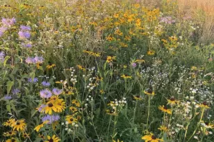 530 Clairville Rd, Oshkosh, WI 54904 - Photo 42