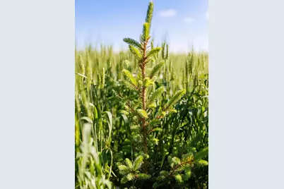 Bay Settlement Road, Green Bay, WI 54311 - Photo 4