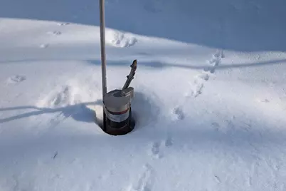 N9664 Ison Lane, Pickerel, WI 54465 - Photo 8