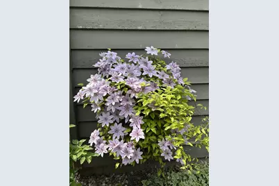 841 E Windfield Place, Appleton, WI 54911 - Photo 34