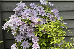 841 E Windfield Pl, Appleton, WI 54911 - Photo 34