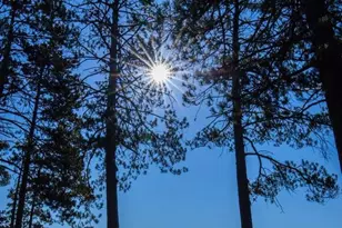 2012 Wild Eagle Ln, Eagle River, WI 54521 - Photo 24