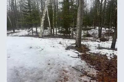 13885 Old 64 Road, Mountain, WI 54149 - Photo 10