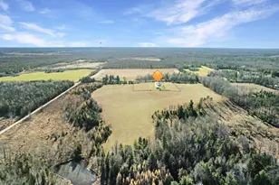 W6960 Co Rd 356, Stephenson, MI 49887 - Photo 28