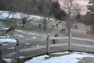 E9588 Mulroy Rd, Mukwa, WI 54961 - Photo 78