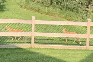 E9588 Mulroy Rd, Mukwa, WI 54961 - Photo 88