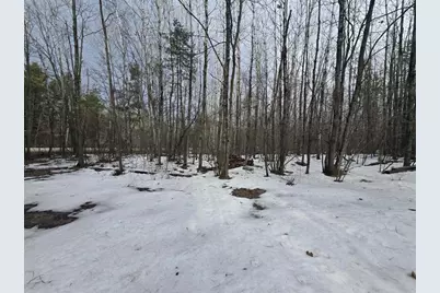 Rabbit Trail Road, Wausaukee, WI 54177 - Photo 4