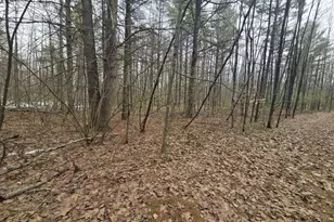 Rabbit Trail Rd, Wausaukee, WI 54177 - Photo 1