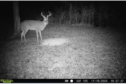 334 Thomas Way, Sobieski, WI 54171 - Photo 64