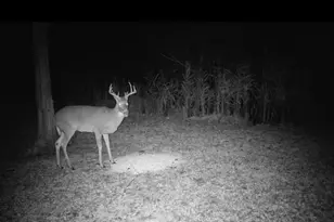 334 Thomas Way, Sobieski, WI 54171 - Photo 64