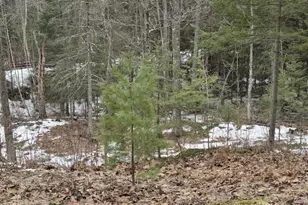 N14181 US Hwy 141, Amberg, WI 54102 - Photo 38