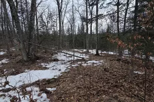 N14181 US Hwy 141, Amberg, WI 54102 - Photo 44