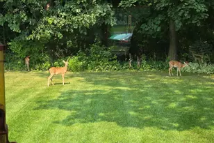 2190 Carleton Ave, Appleton, WI 54915 - Photo 68