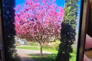 2190 Carleton Ave, Appleton, WI 54915 - Photo 64