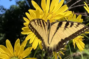 W831 State Road 91, Berlin, WI 54923 - Photo 10