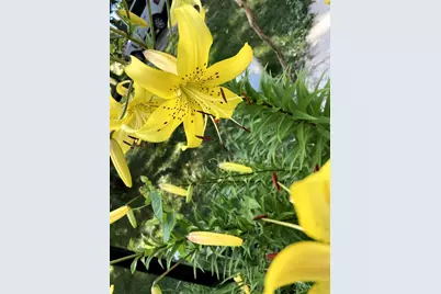 W831 State Road 91, Berlin, WI 54923 - Photo 16