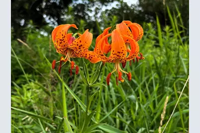 W831 State Road 91, Berlin, WI 54923 - Photo 14
