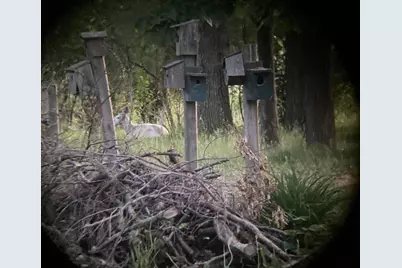 W831 State Road 91, Berlin, WI 54923 - Photo 6