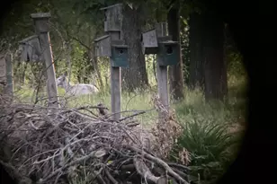 W831 State Road 91, Berlin, WI 54923 - Photo 6