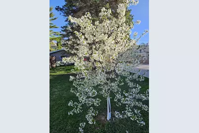 913 W 5th Street, Appleton, WI 54914 - Photo 56