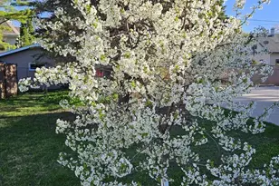 913 W Fifth St, Appleton, WI 54914 - Photo 56