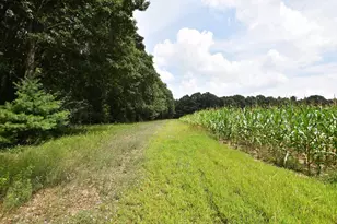 W8970 Cottonville Dr, Wautoma, WI 54982 - Photo 78