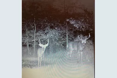 W8970 Cottonville Drive, Wautoma, WI 54982 - Photo 86