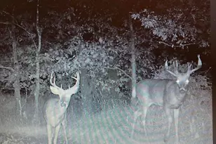 W8970 Cottonville Dr, Wautoma, WI 54982 - Photo 86