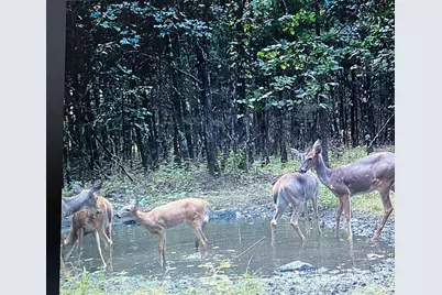 W8970 Cottonville Drive, Wautoma, WI 54982 - Photo 84