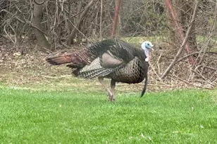 W2268 Ledgeview Rd, Green Lake, WI 54941 - Photo 24