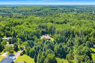 14533 Joseph Ln, Mountain, WI 54149 - Photo 12