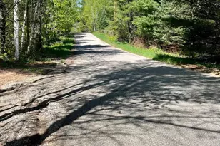 14533 Joseph Ln, Mountain, WI 54149 - Photo 42