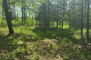 W17810 Eland Rd, Wittenberg, WI 54499 - Photo 74
