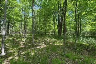 W17810 Eland Rd, Wittenberg, WI 54499 - Photo 80