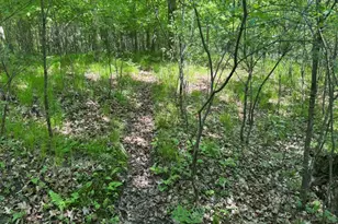 W17810 Eland Rd, Wittenberg, WI 54499 - Photo 84