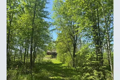 W17810 Eland Road, Wittenberg, WI 54499 - Photo 30