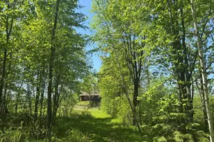 W17810 Eland Rd, Wittenberg, WI 54499 - Photo 30