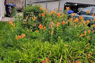 2412 N Morrison St, Appleton, WI 54911 - Photo 34