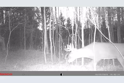N10035 Red River Road, Bowler, WI 54416 - Photo 56