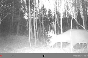 N10035 Red River Rd, Bowler, WI 54416 - Photo 56