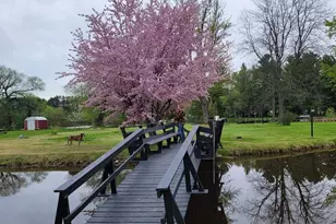 120 Rohrer St, Clintonville, WI 54929 - Photo 4