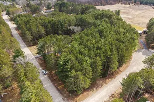 W6471 Hidden Springs Dr, Neshkoro, WI 54960 - Photo 46