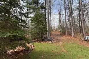 17410 Wheeler Lake Ln, Lakewood, WI 54138 - Photo 42